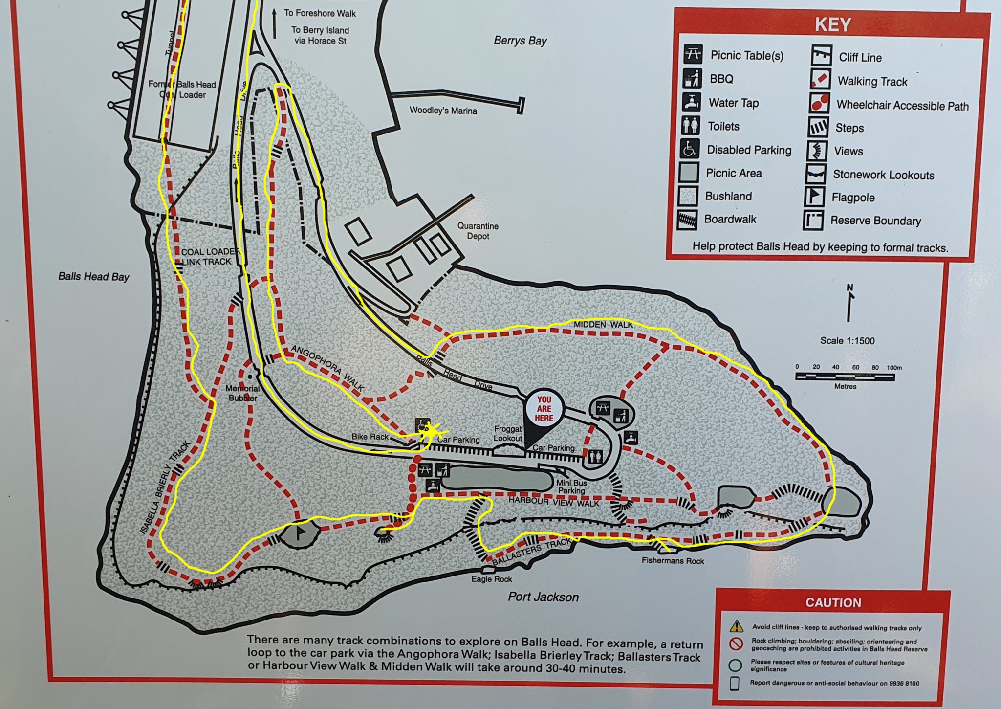 Balls Head Hike 2021 – Kingsford Smith Scout Group